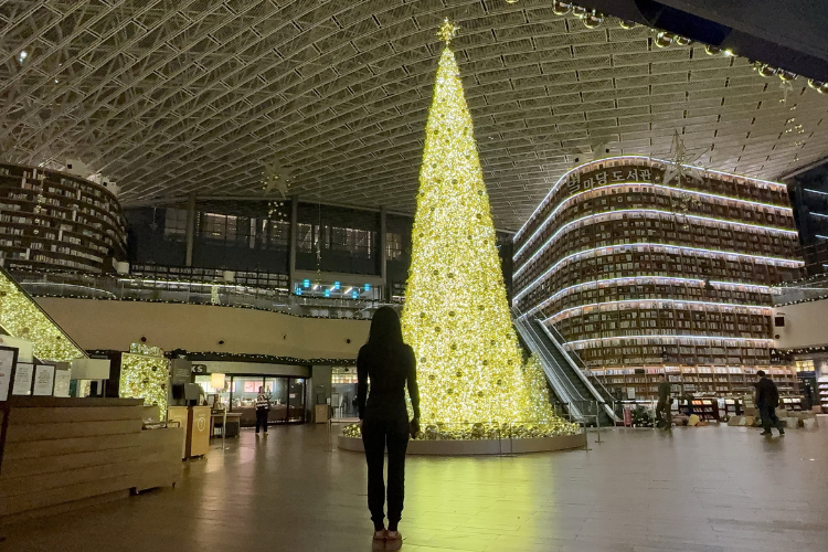 A woman standing in Starfield Library, Seoul, admiring a glowing Christmas tree, symbolizing personal growth, aging gracefully, and embracing beauty beyond youth.